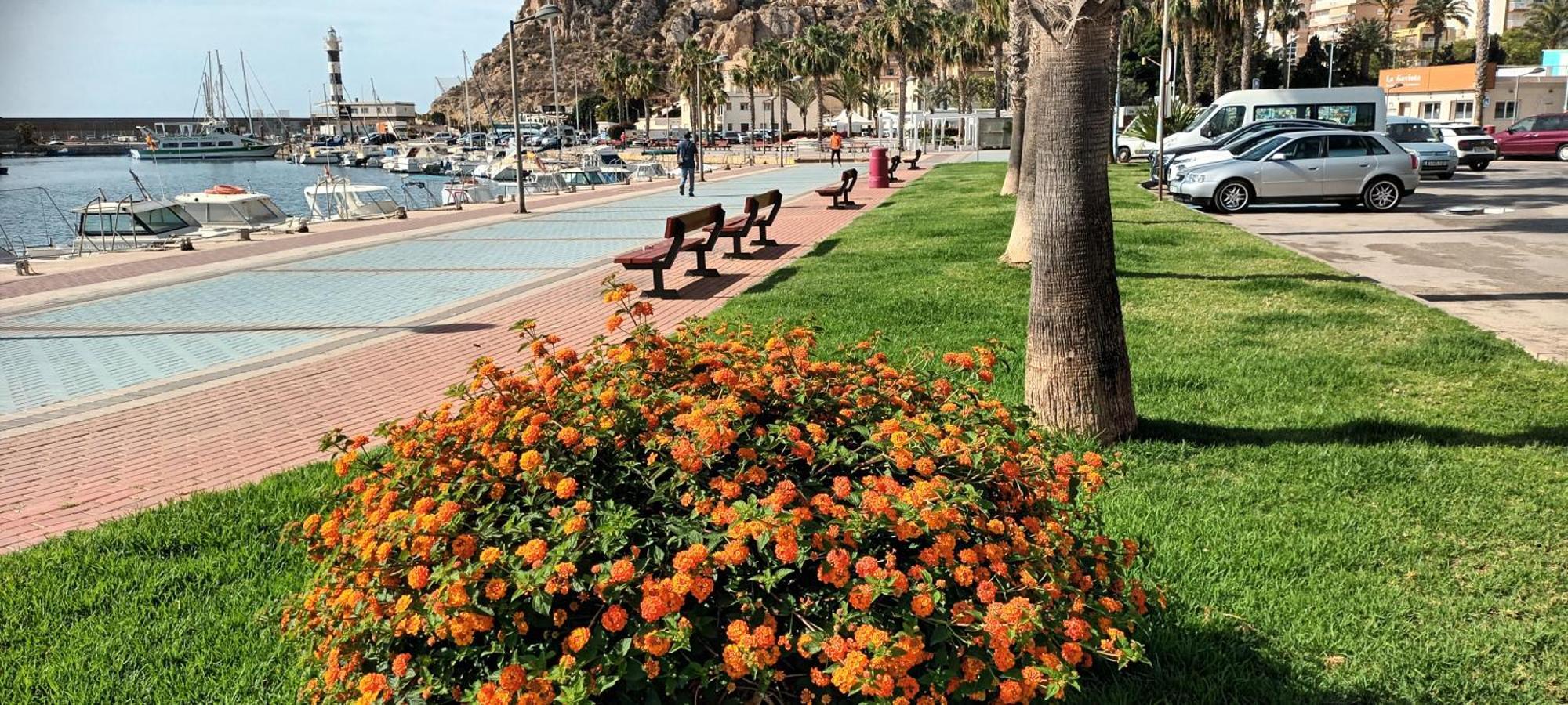 Apartamento Tranquilo Cerca De Buena Piscina Y Con Buen Aire Acondicionado Águilas Zewnętrze zdjęcie